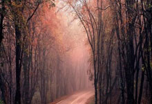 im电竞APP下载-跨越时区的篮球梦：墨西哥悍将如何在海外训练营淬炼锋芒