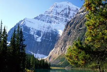 IM电竞官网入口-包含以色列主场取得三分伍特曼制胜的词条