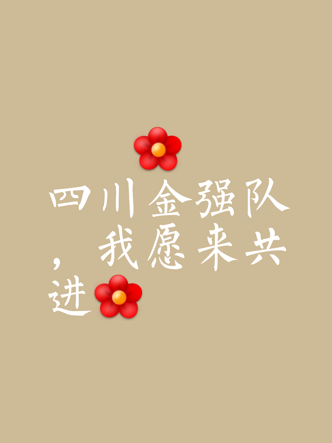 球队团结协作，共同迎接胜利的挑战