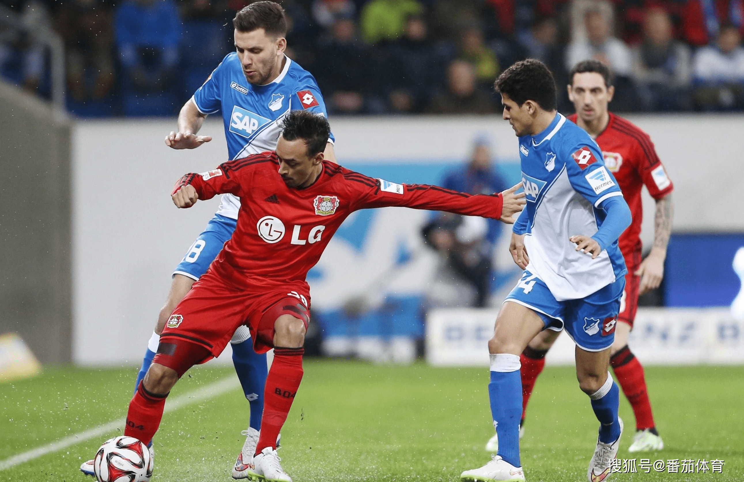 关于进攻火力全开！霍芬海姆轻取胜利的信息