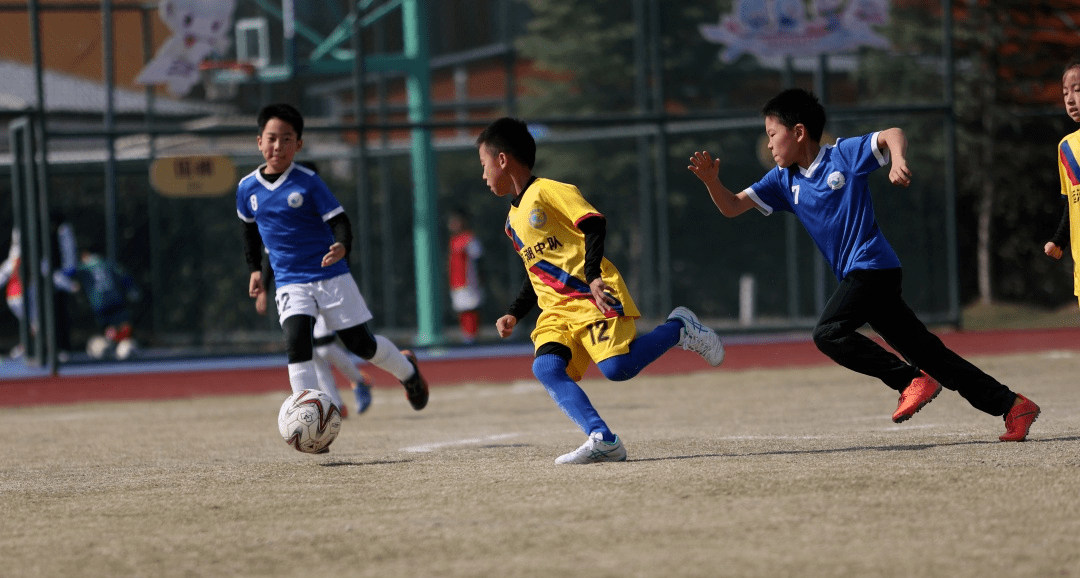 im电游平台-精彩足球比赛让人们沉浸在足球的海洋中