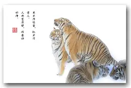 塞尔塔虎虎生风，夺得巨大成功